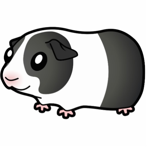 Download Guinea Pig Silhouette Vector at Vectorified.com ...