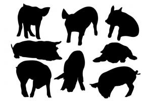 Download Guinea Pig Silhouette Vector at Vectorified.com ...