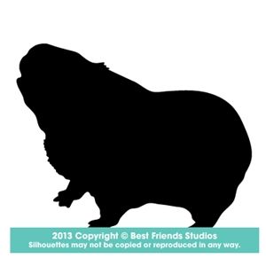 300x300 Pin On Peru Ideas