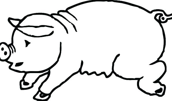 Guinea Pig Silhouette Vector at Vectorified.com | Collection of Guinea ...