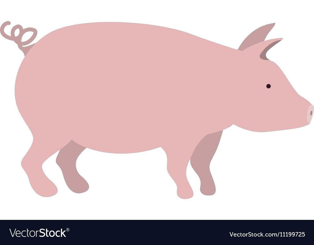 1000x780 Pig Pictures To Color