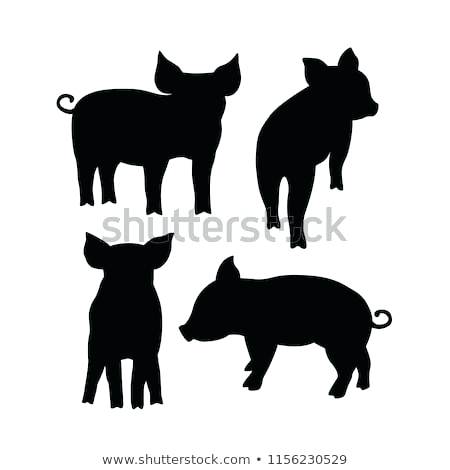 Guinea Pig Silhouette Vector at Vectorified.com | Collection of Guinea ...