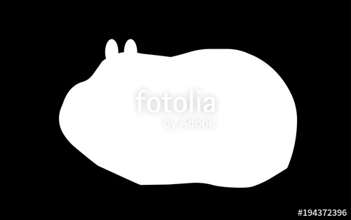 500x313 White Guinea Pig Silhouette On Black Background Stock Image