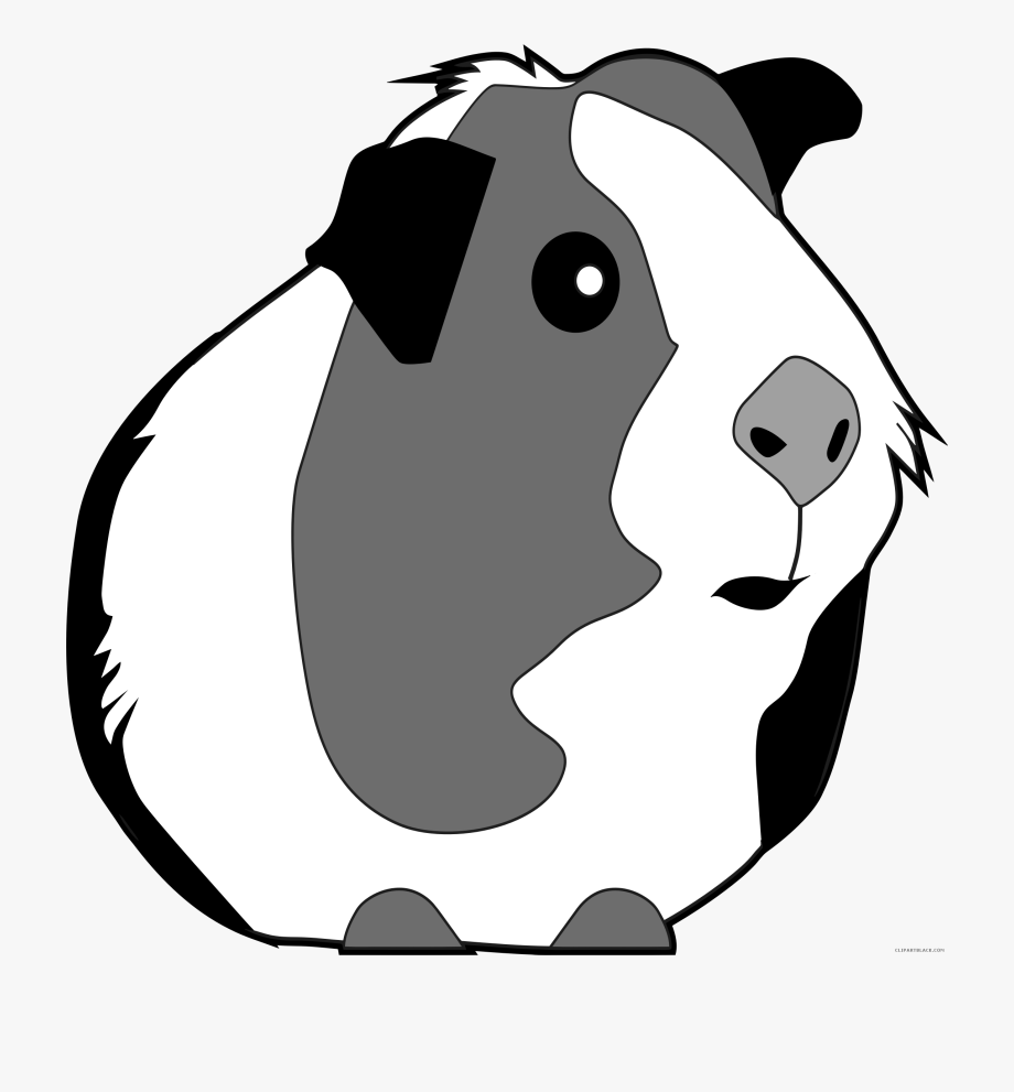 Download Guinea Pig Silhouette Vector at Vectorified.com ...