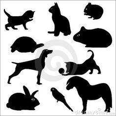 236x236 Collection Of 'guinea Pig Silhouette' Download More Than