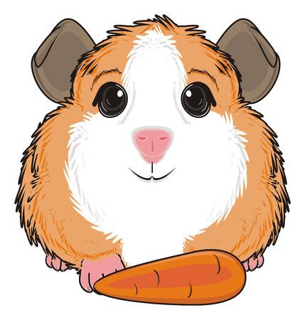 429x450 Guinea Pig Clipart