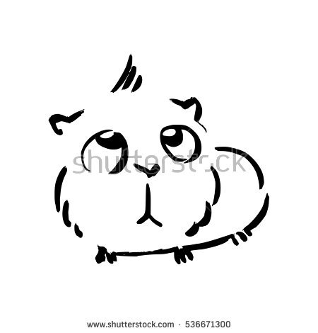 450x470 Guinea Pig Face Clipart