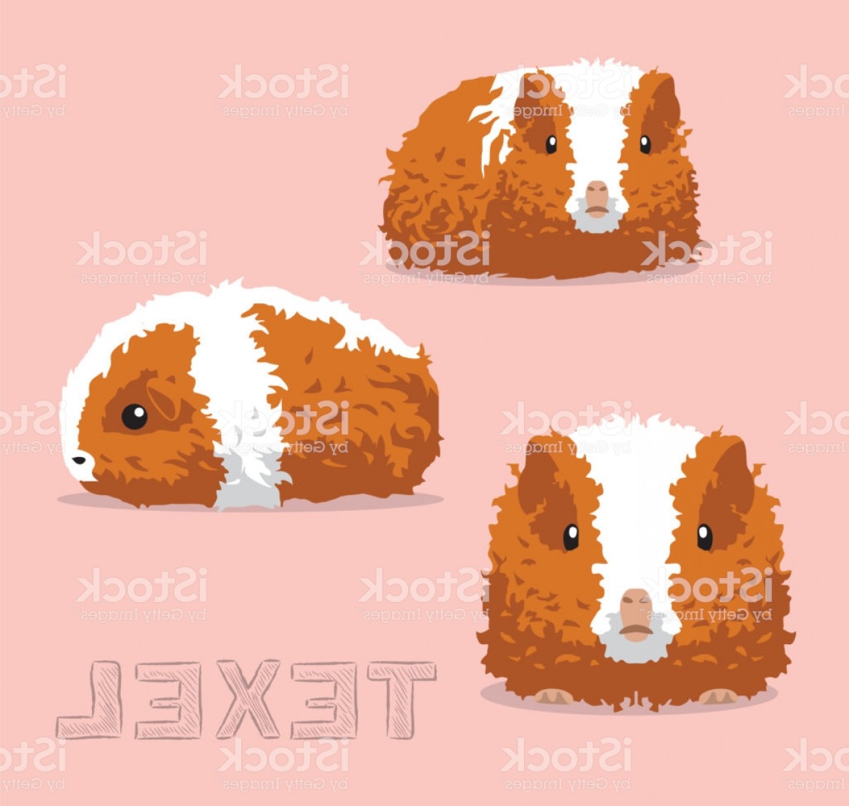 1228x1166 Guinea Pig Transparent Vector Hoodamathrun