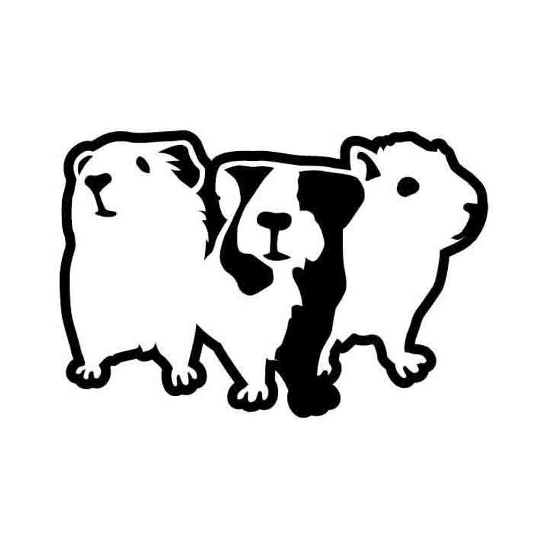 794x794 Guinea Pig Vector Dxf Vinyl Cutter Etsy