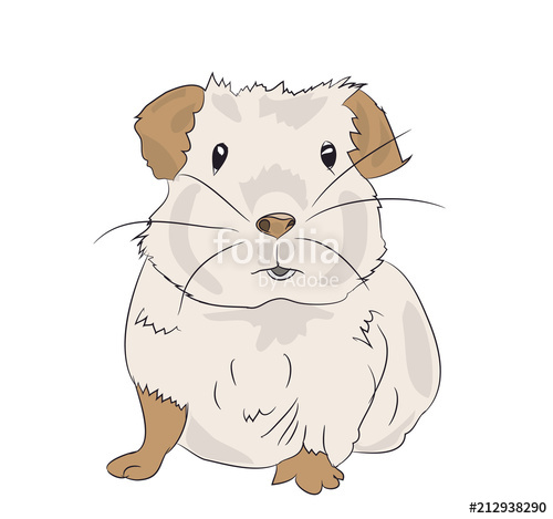 Guinea Pig Vector at Vectorified.com | Collection of Guinea Pig Vector ...