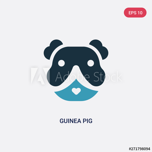 Download Guinea Pig Vector at Vectorified.com | Collection of ...