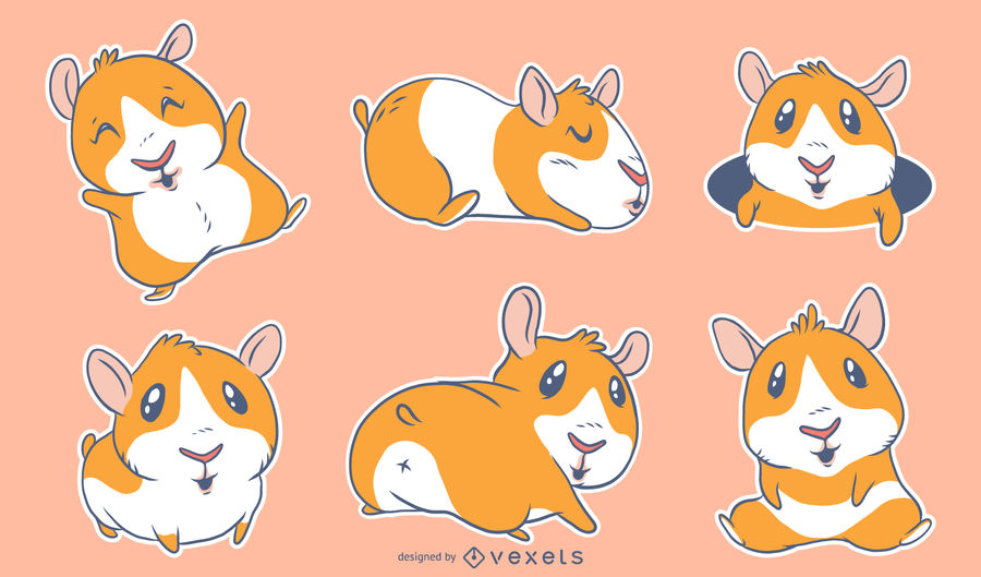 900x529 Cute Guinea Pigs Cartoon Set
