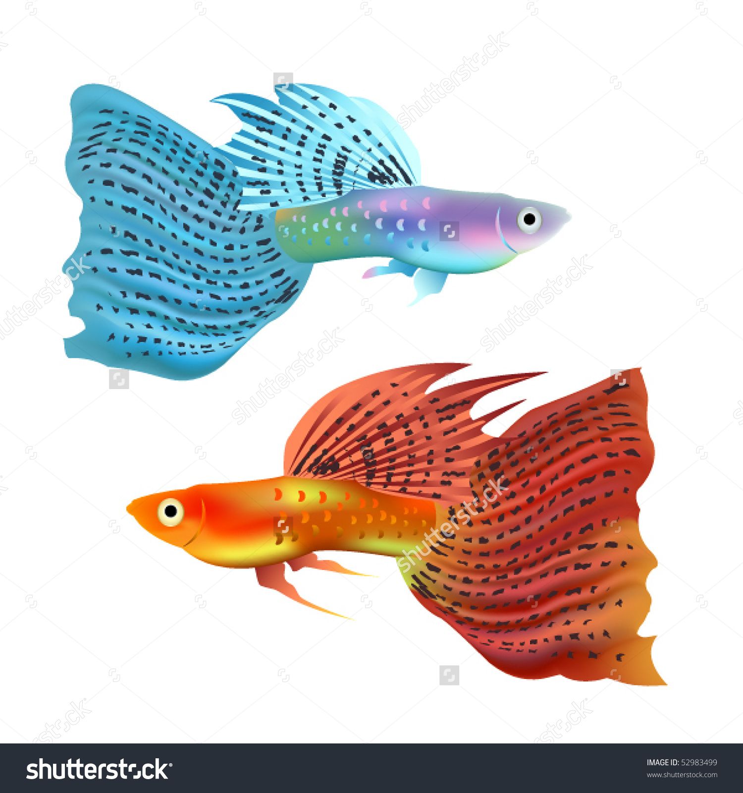 1500x1600 Golden Fish Stock Vectors Vector Clip Art Shutterstock