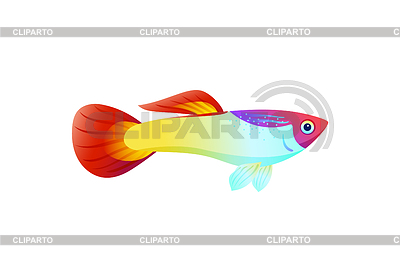 400x261 Guppy Stock Photos And Vektor Clipart Cliparto