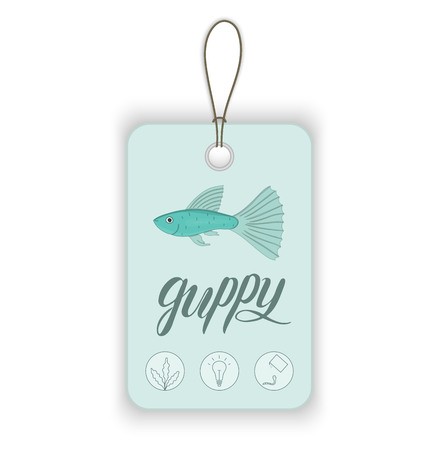 439x450 Guppy Vector For Design Royalty Free Vector Graphics