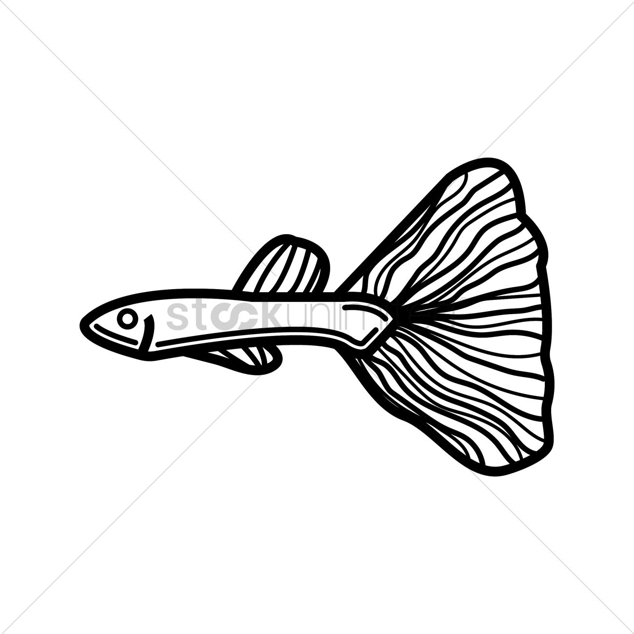 1300x1300 Guppy Fish Vector Image