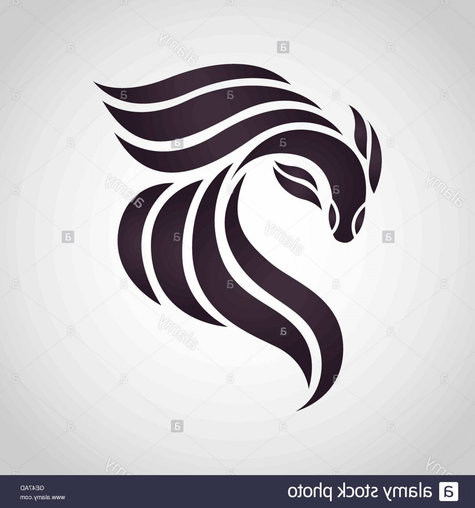 1560x1668 Stock Photo Fighting Fish Logo Vector Soidergi