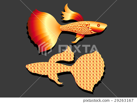 450x337 Gold Color Guppy Fish Vector
