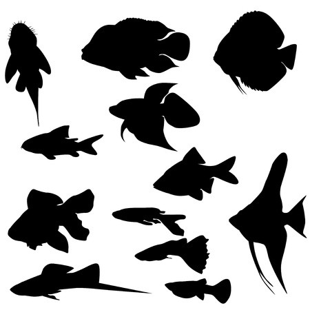 450x450 Guppy Vectorgraphics About Guppy