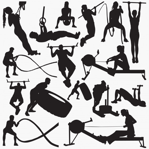 Fitness Gym Equipment Silhouettes Vector Premium Download 626x626 Fitness Gym Equipment Silhouettes Vector Premium Download