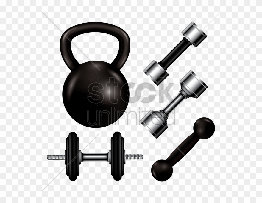 Vector Royalty Free Collection Of Gym Equipment Vector 880x680 Vector Royalty Free Collection Of Gym Equipment Vector