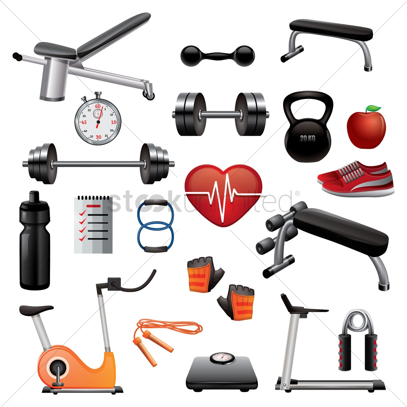 Collection Of Gym Equipment Vector Image 1300x1300 Collection Of Gym Equipment Vector Image