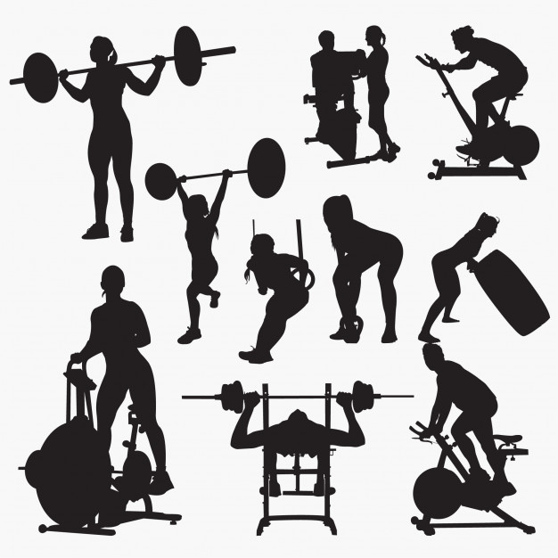 626x626 Fitness Gym Silhouettes Vector Premium Download