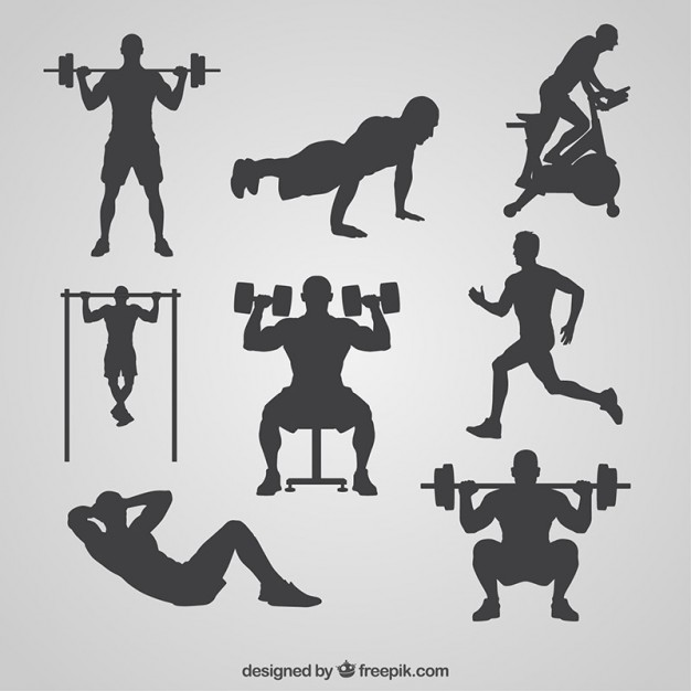 626x626 Gym Silhouettes Collection Vector Free Download