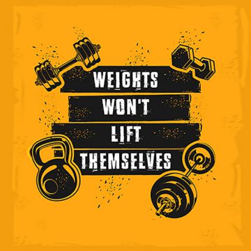 360x360 Gym Vector, Free Download Gym Equipments, Man Workout Gym, Gym