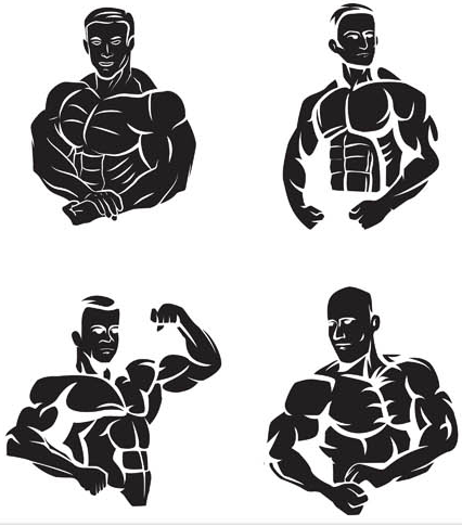 426x485 Bodybuilders In Gym Illustration Vector Free Download