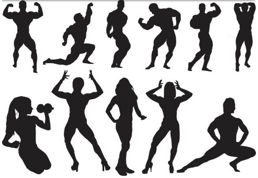 508x351 Gym Free Vector Free Download