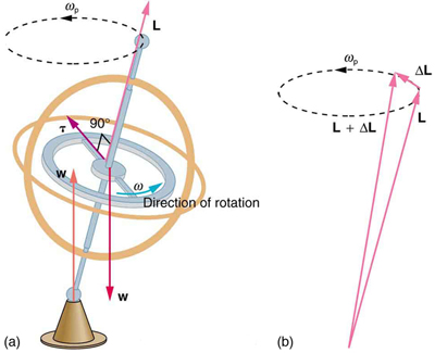 400x325 Gyroscopic Effects Vector Aspects Of Angular Momentum Physics
