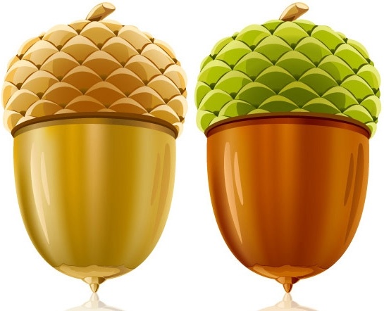 545x442 Cool Gyro Vector Free Vector In Encapsulated Postscript