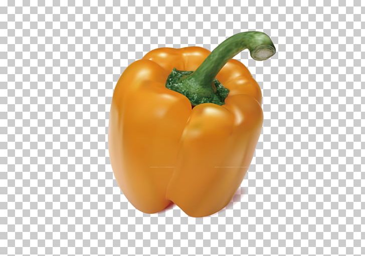Habanero Vector