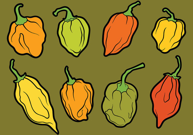 632x443 Habanero Vector Icons Free Vector Download Cannypic