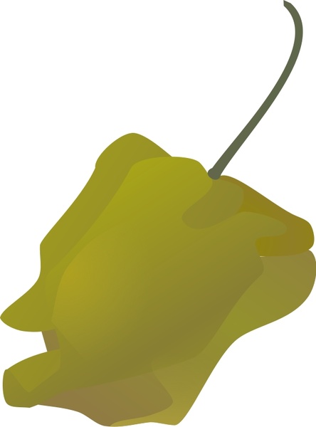 444x600 Habanero Pepper Simple Free Vector In Open Office Drawing