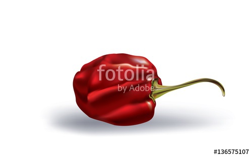 500x312 Habanero Peppers Stock Image And Royalty Free Vector