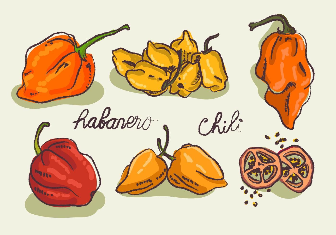 1400x980 Hot Habanero Doodle Sketch Vector Illustration Art Drawings