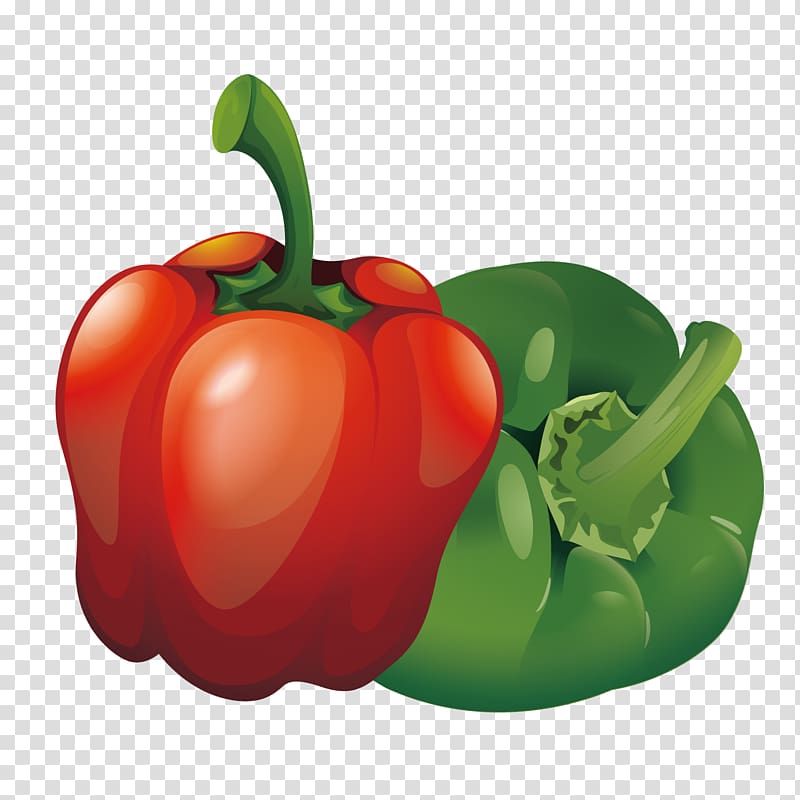 Tabasco Pepper Habanero Cayenne Pepper Bell Pepper Euclidean 800x800 Tabasco Pepper Habanero Cayenne Pepper Bell Pepper Euclidean