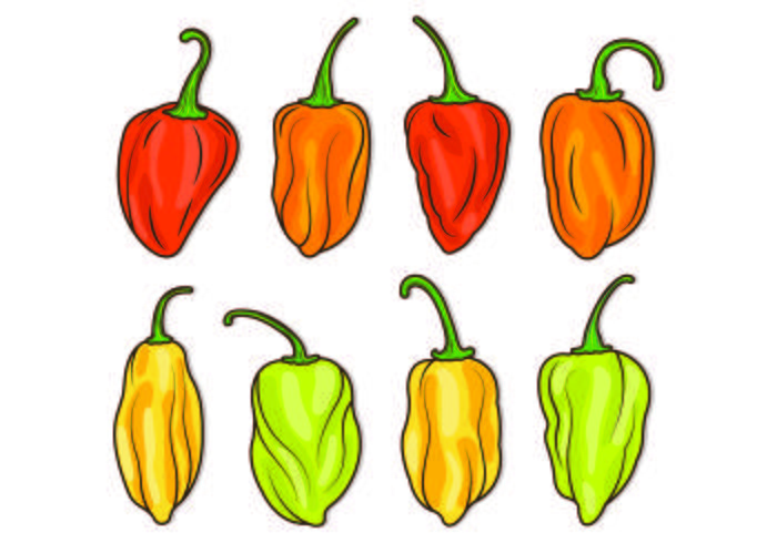 700x490 Habanero Free Vector Art