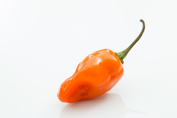 360x240 Habanero Peppers Photos, Royalty Free Images, Graphics, Vectors