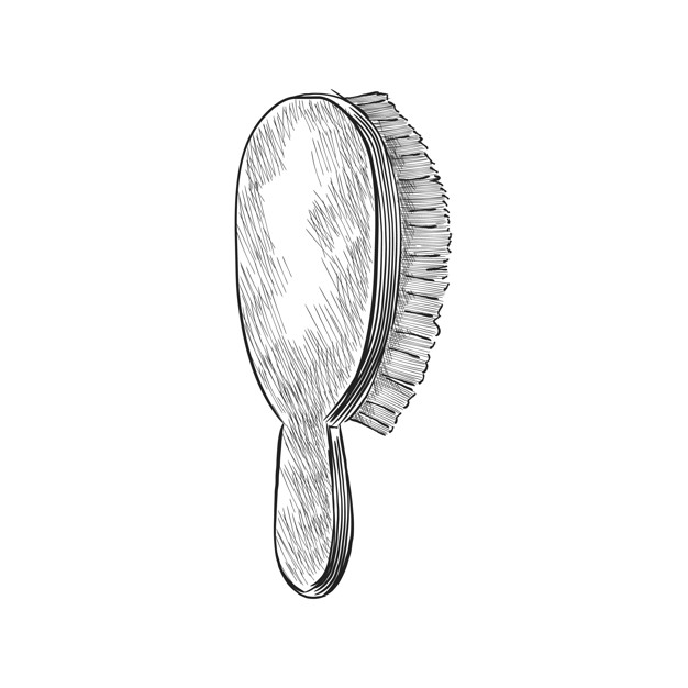 Vintage Illustration Of A Hair Brush Vector Free Download 626x626 Vintage Illustration Of A Hair Brush Vector Free Download