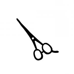 300x300 Photostock Vector A Logo For Barbershop Hair Salon With Flying