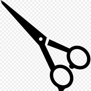 300x300 Catamart Creative Vector Illustrator