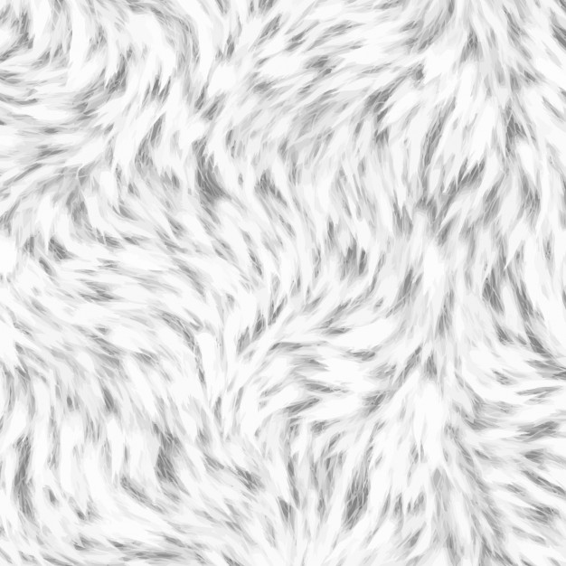 White Animal Hair Texture Vector Free Download 626x626 White Animal Hair Texture Vector Free Download