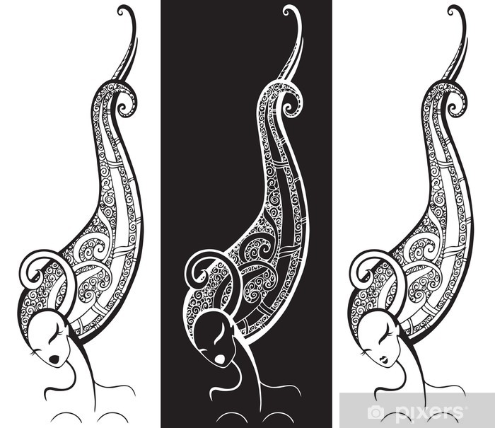 700x605 Girl With Long Hair Vector Illustration Isolated Wall Mural