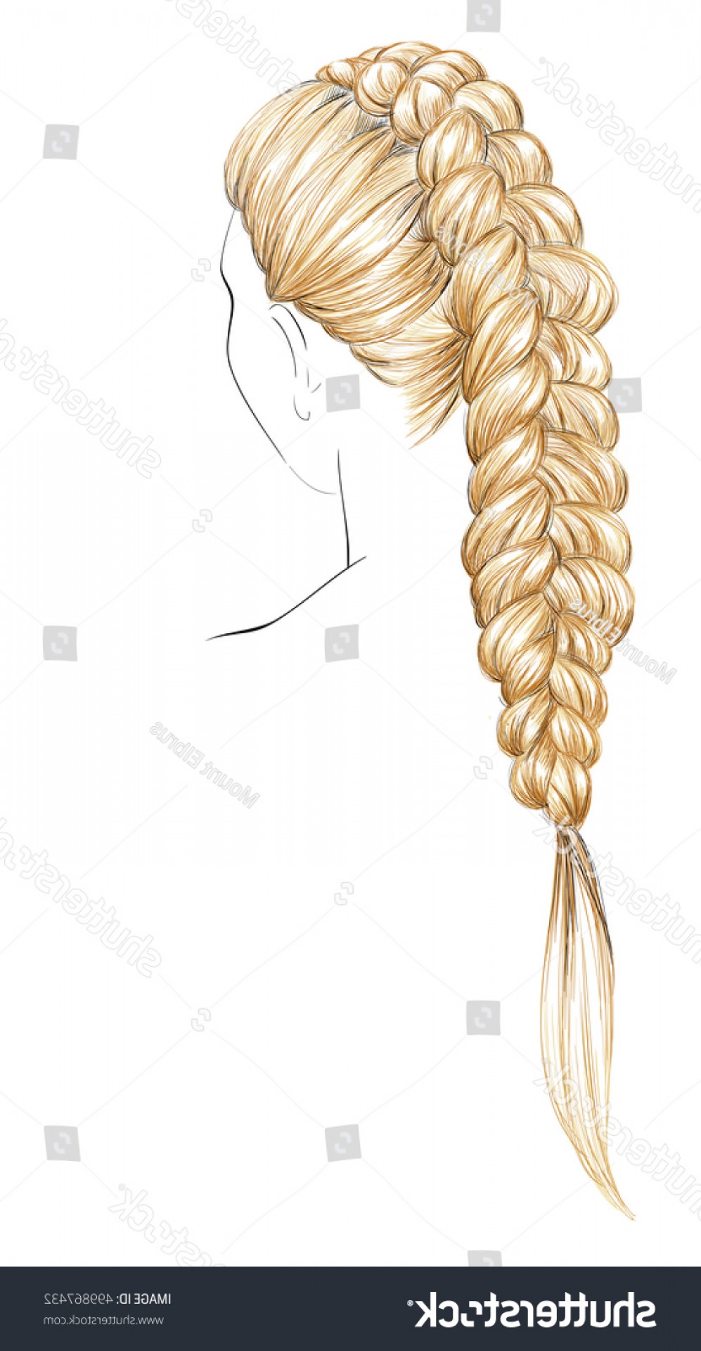 997x1920 Sketch Braid Hairstyle Vector Illustration Hand Studiogrfx