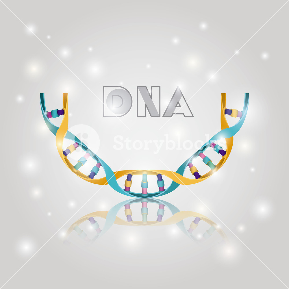 Dna Molecule Half Circle Structure Pattern Vector Illustration 1000x1000 Dna Molecule Half Circle Structure Pattern Vector Illustration