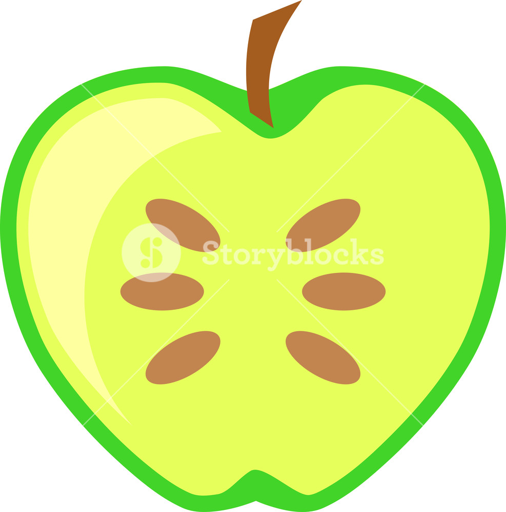 Green Apple Fruit Cut In Half Vector In Flat Design Style Isolated 987x1000 Green Apple Fruit Cut In Half Vector In Flat Design Style Isolated