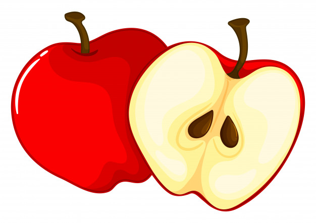 Red Apple Cut In Half Vector Premium Download 626x442 Red Apple Cut In Half Vector Premium Download